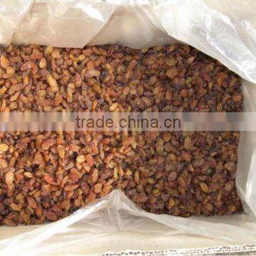 Dried Fruit Raisin Sultana