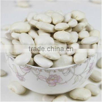 new crop Japanese type white kidney beans