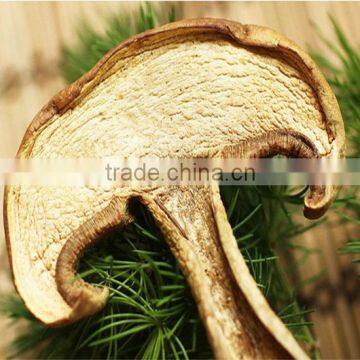 air dried boletus edulis from China