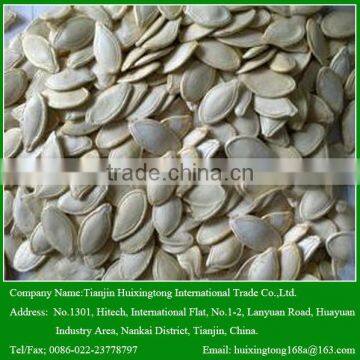 Bulk Shine Skin Pumpkin Seeds for Human Consumption