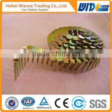 Low Price Stainless steel Ring Shank Coil nail / pallet coil nail