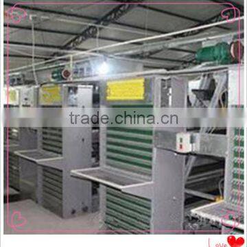 Full Automatic chicken cages equipment with egg collecting machine in farm