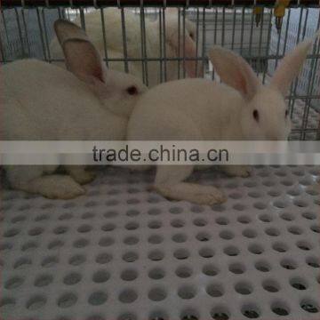 commercial rabbit cage flooring