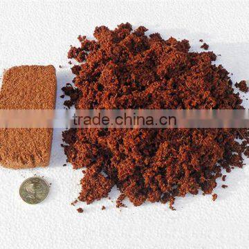 1500 kg per Hour Factory Price Coco Peat Dryer/coir Fibre Dryer Machine for Sale photo-4