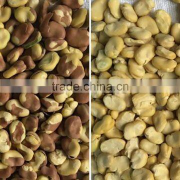 Excellent Quality CCD Color Sorter photo-5
