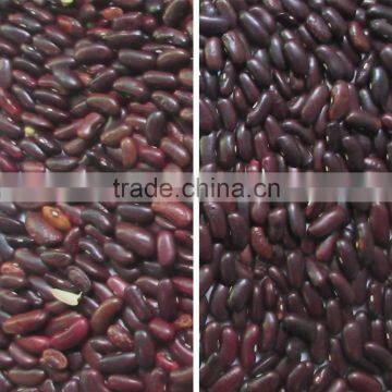 Shenzhen CCD Red Bean Color Sorter/Sorting Machine With Competitive Price / Good After-Sale Service photo-3
