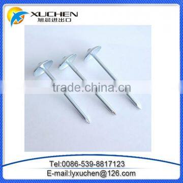 Electro Galvanized 2.5 Inch Screw Shank Twisted Roofing Nail photo-2