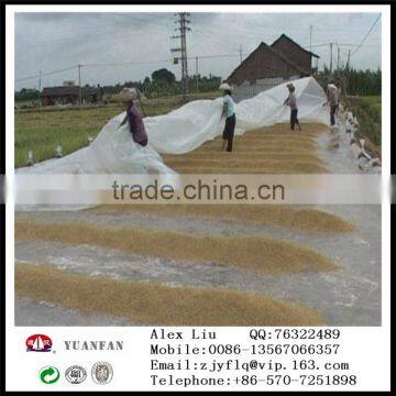 Welded PPSB Non Woven Fabric for Agriculture photo-4