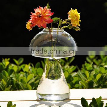 Creative mushrooms clear glass hydroponic container handblown glass terrarium