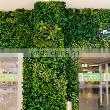 Vertical climbing grass wall