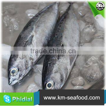 Carton or Woven Bag Packed 18 Months Shelf Life New Frozen Bonito photo-2