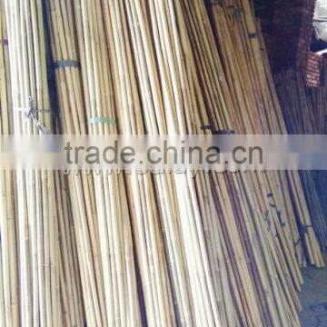 Natural Dry Bamboo Canes Poles Sticks for Gardening SUPPORTING photo-2