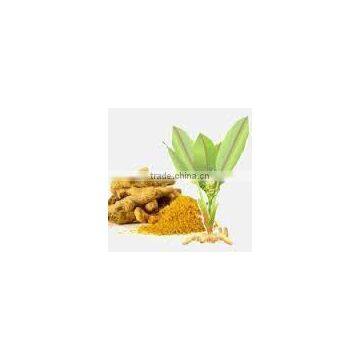 Curcuma Longa Extract photo-2