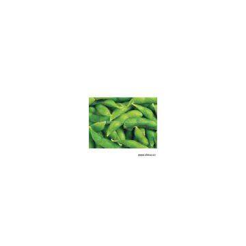 Sell IQF Soy Beans