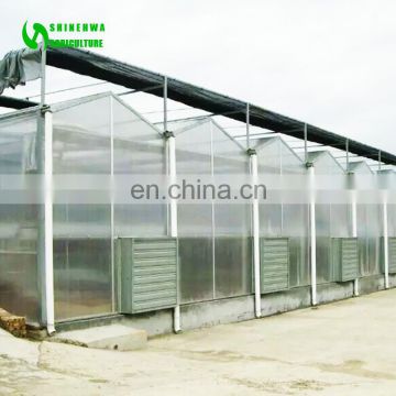 Agricultural Polycarbonate greenhouse design with hot galvanized steel frame