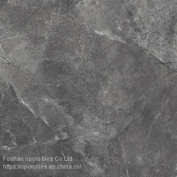 Fullbody Tiles / Glazed Tiles 800X800 photo-4