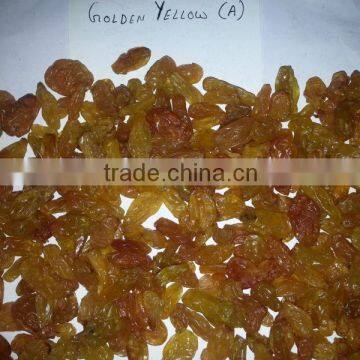 Golden Raisins Best Quality