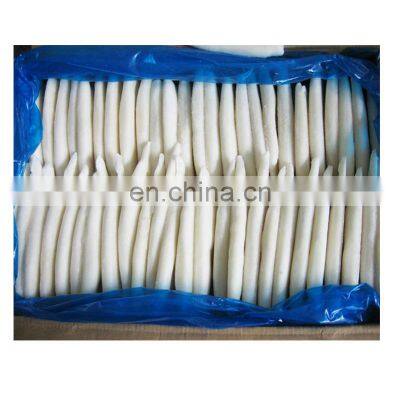 IQF squid tube price for sale import and export