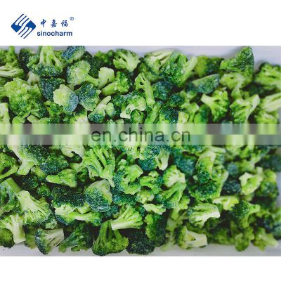 IQF Vegetables Wholesale Bulk Fresh Frozen Broccoli