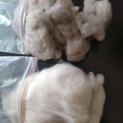 Factory Supply Tibetan Dehaired Cashmere Fiber Tibet Cashmere in Stock photo-2