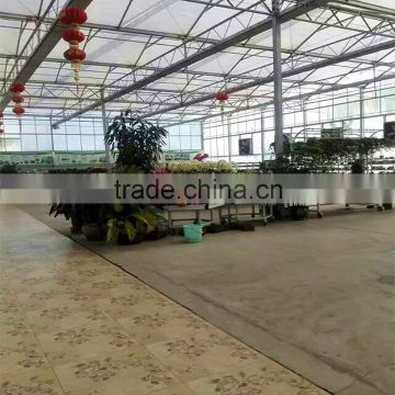 multi-span plastic film galvanized greenhouse agricola