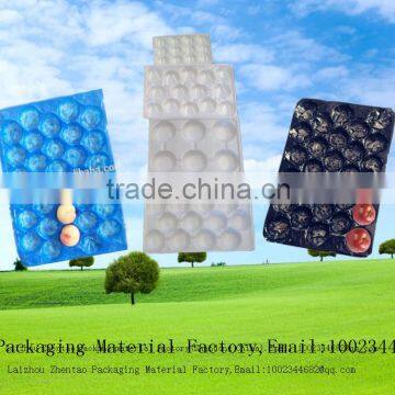 Biodegradable Plastic Thermoforming Fruit Packaging Tray Foam Pear Trays