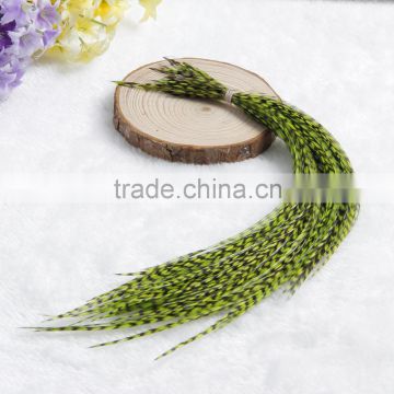 2015 Aliebaba New Arrival Colored Real Rooster Feather Hair Extension