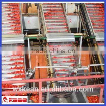 Turn key solution concentrate fruit juice processing production line