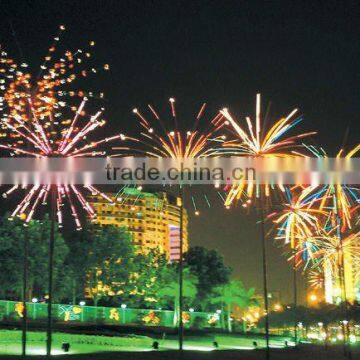 Hot!!!beautiful outdoor decoration led firework lights
