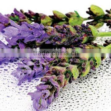 Essential Lavender massage oil