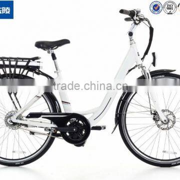 Using Good Quality Electric Bike Kit And Battery Internal 8 Speed High End Electric Bike