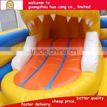 Brighted-color Customized Cartoon Theme Outdoor Inflatable Slide Water Slide photo-5