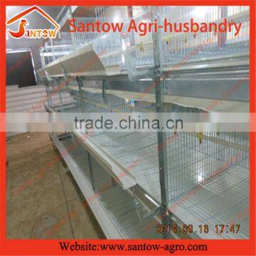 A and H type automatic chicken coop cages in tiers for poultry house broiler