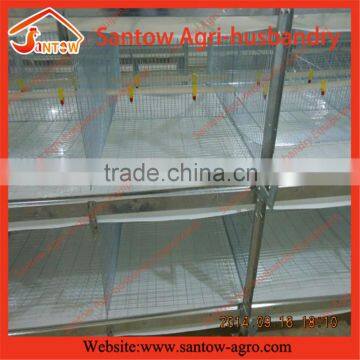 Top Quality Automatic Poultry Broiler Cage for Nigeria Farm photo-6