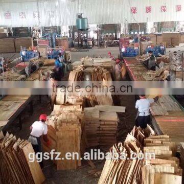 Construction Temporary Building Materials Plywood Production Line