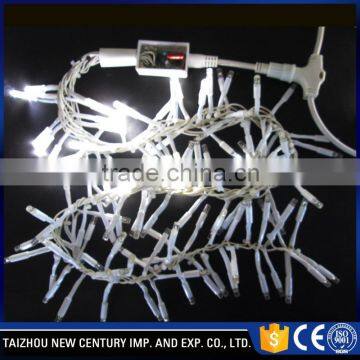 Durable Outdoor Holiday Decoration ce Led String Light photo-5