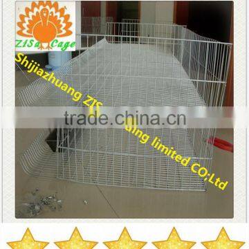 12cells hot dip galvanized pigeon cages