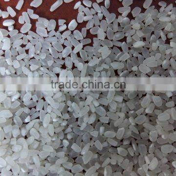 Japonica Rice 10% Broken