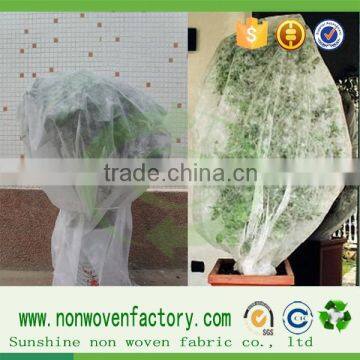 Plant Covers Protection Telas Fabricas Non Woven Fabrica