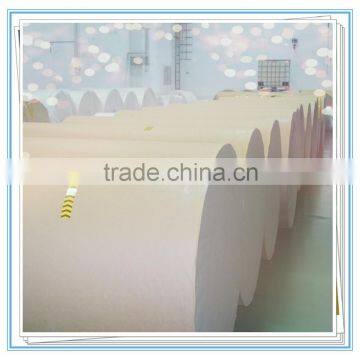 Self Adhesive Thermal Laminated Label Roll for Baggage Tag photo-3