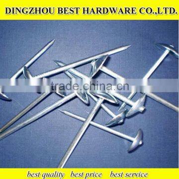 Galvanized umbrella roofing nail
