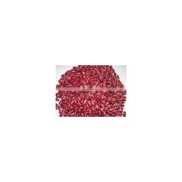 small size Red Kidney Bean