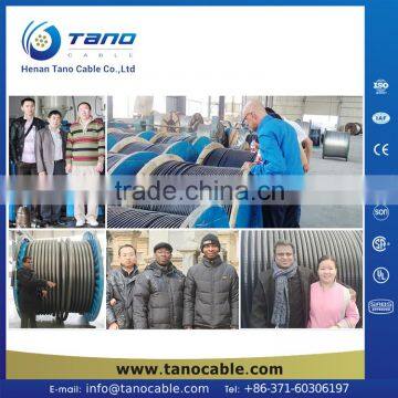 Save 15% AAAC Cable Cambodia Electric Wire and Cable Senegal Ukraine Uganda photo-5