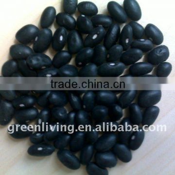 2011 lowest price black eye bean(dry )