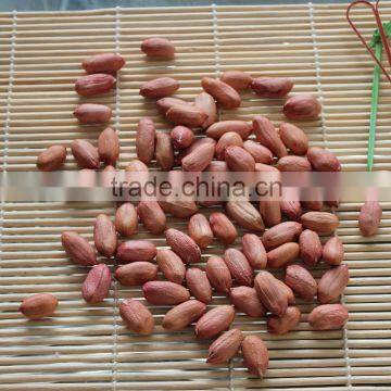 New Crops Red Skin Peanut Kernel photo-5