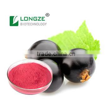 Black Currant Fruit Powder Extract/Black Currant Extract with anthocyanidins 25%