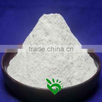 SALE Dehydrated White Onion Powder with ISO9001 HACCP OU BRC