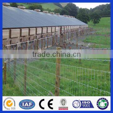 DM galvanized grassland fence made in China for Chinese factory