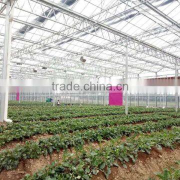 Exhaust Fan/ Industrial Exhaust Fan/ventialtion Fans for Warehouse Workshop photo-6