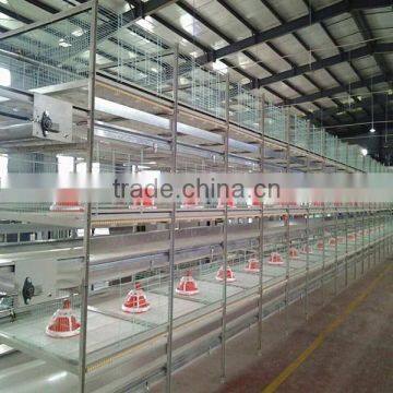 New Design Broiler Cage System